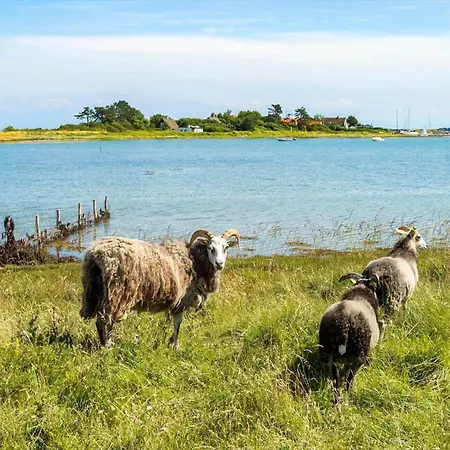 20209-samso-rosenvej-21